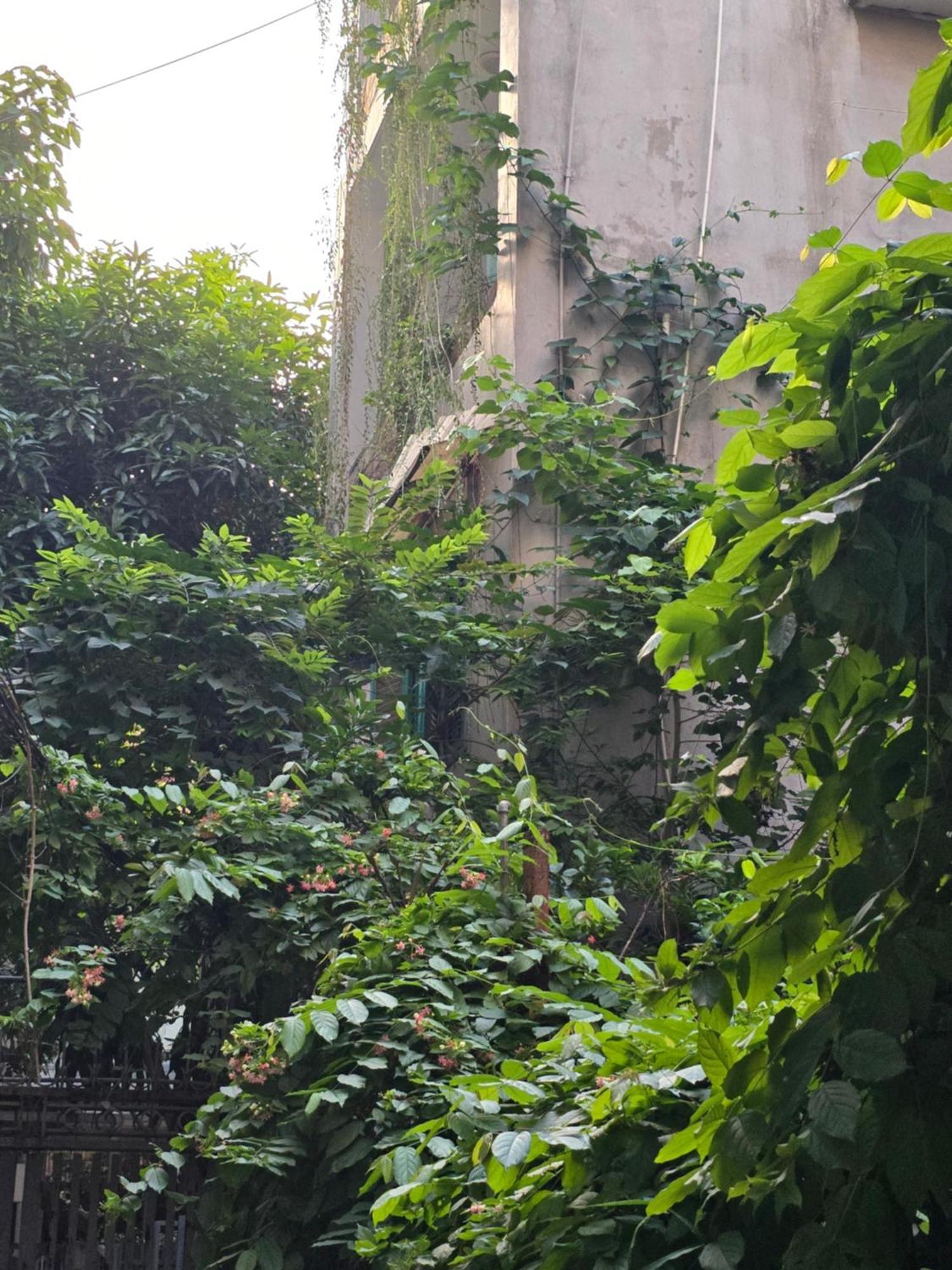 Apartment 12a/89 Pham Dong, Ha Noi
